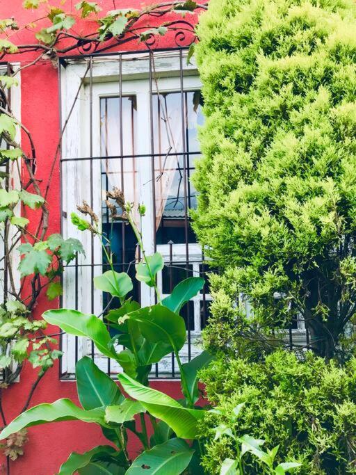 Apartmán Casa I'X San Juan La Laguna Exteriér fotografie